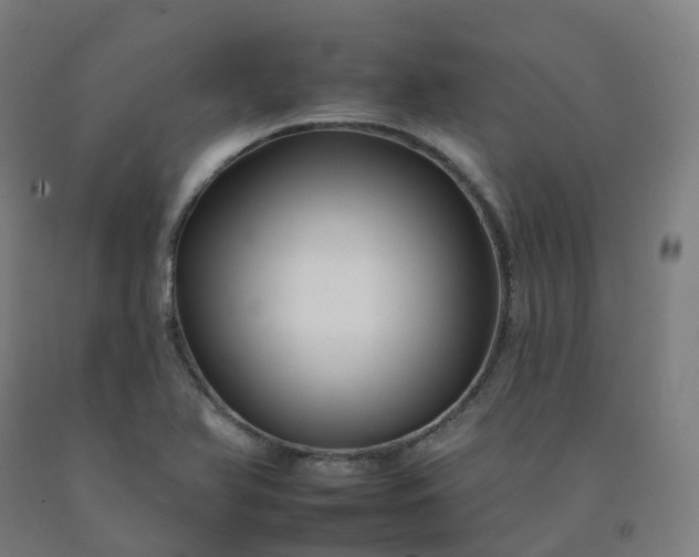 X0000092261366200709281155