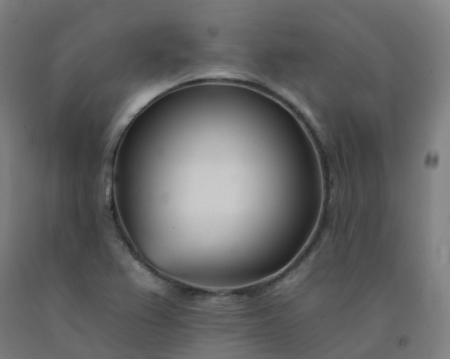 X0000092261367200709281155