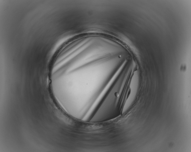 X0000092261368200709281155