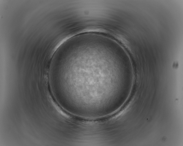 X0000092261369200709281155