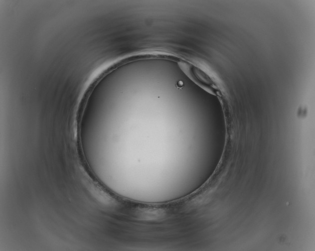 X0000092261372200709281155