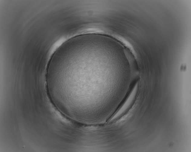 X0000092261373200709281155