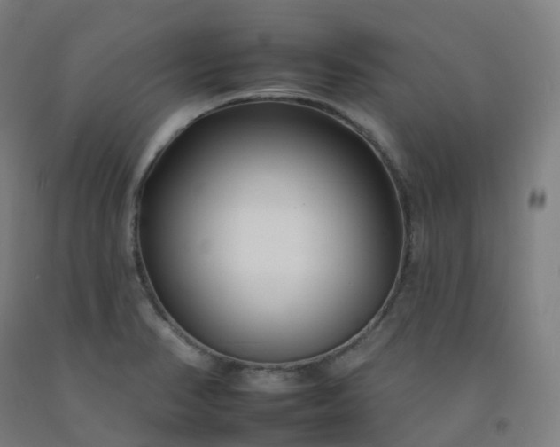 X0000092261374200709281155