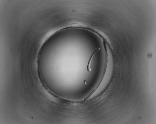 X0000092261375200709281155