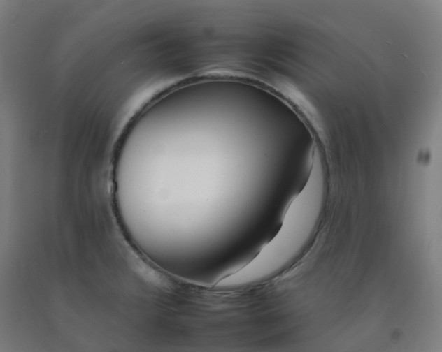 X0000092261376200709281155