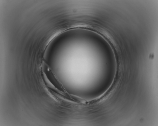 X0000092261377200709281155