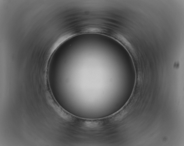 X0000092261378200709281155