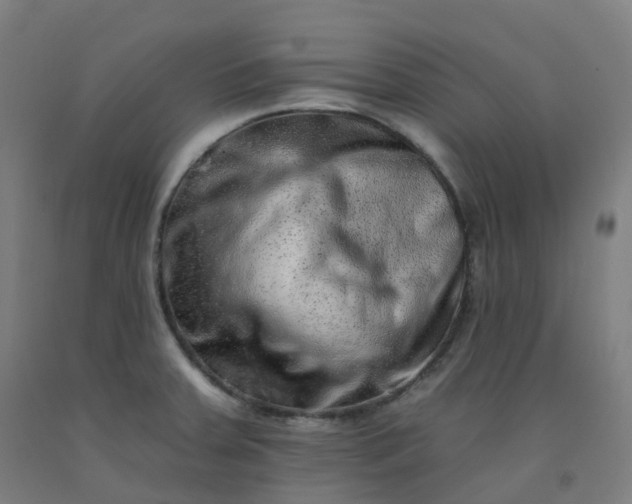 X0000092261379200709281155