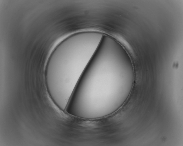 X0000092261380200709281155