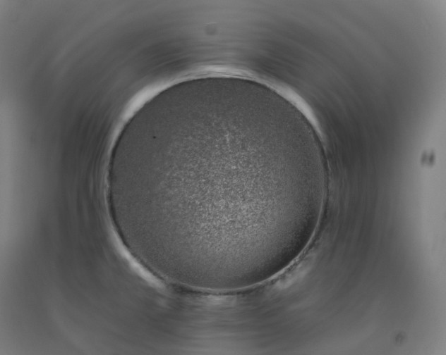 X0000092261381200709281155