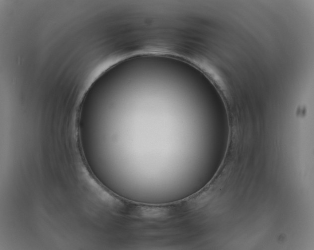 X0000092261382200709281155