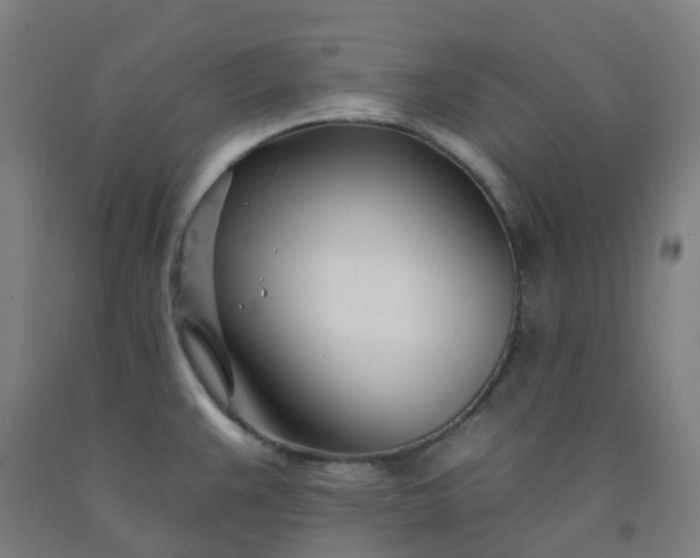 X0000092261383200709281155