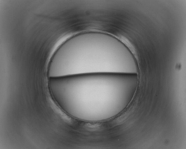 X0000092261384200709281155