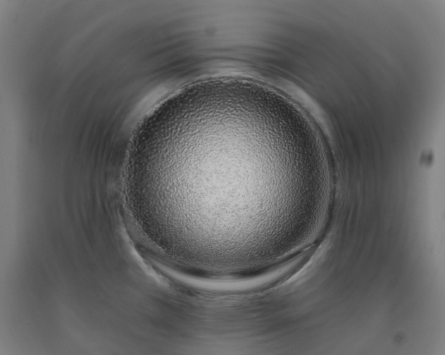 X0000092261385200709281155