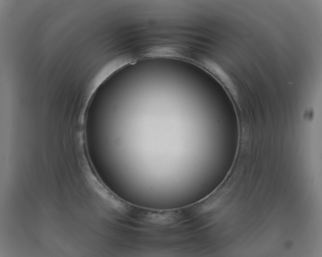 X0000092261386200709281155