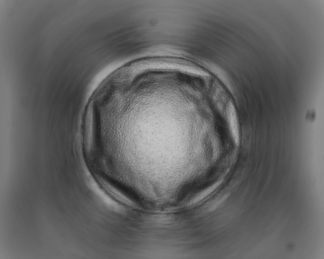 X0000092261387200709281155