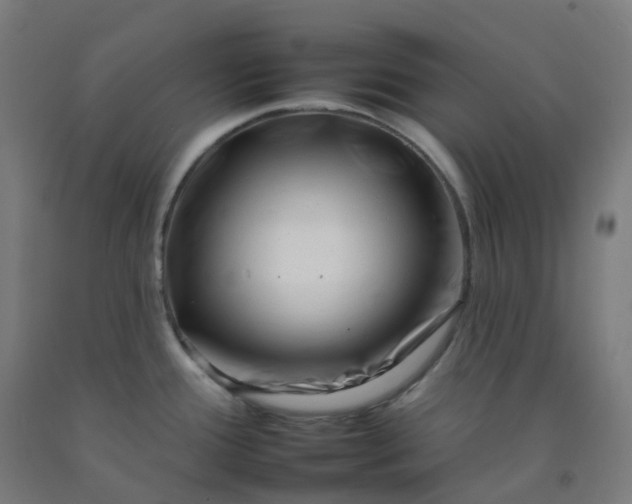 X0000092261388200709281155