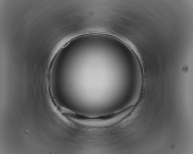 X0000092261389200709281155