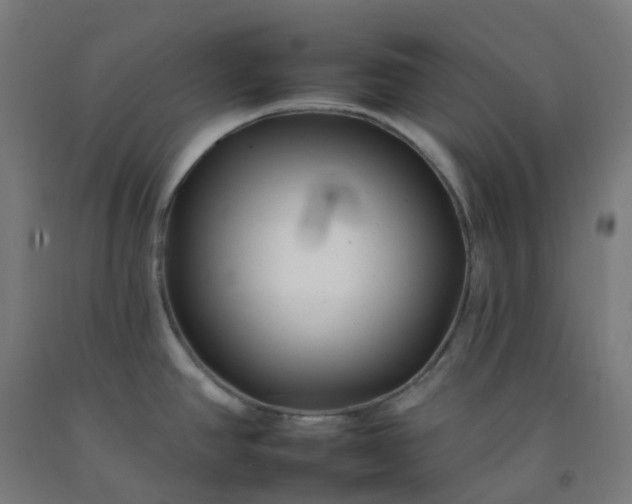 X0000092261390200709281155