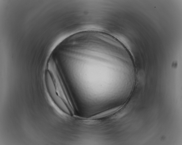 X0000092261391200709281155