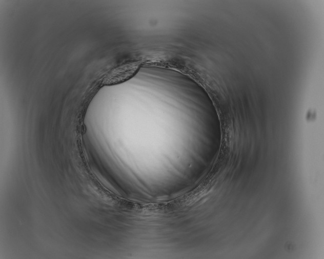 X0000092261393200709281155