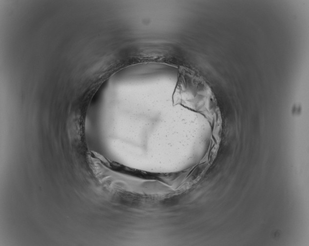 X0000092261394200709281155