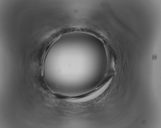 X0000092261398200709281155