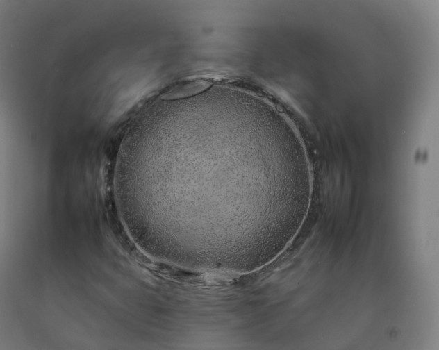 X0000092261399200709281155