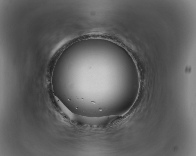 X0000092261400200709281155