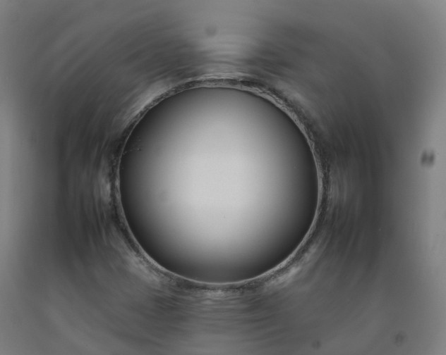 X0000092261401200709281155