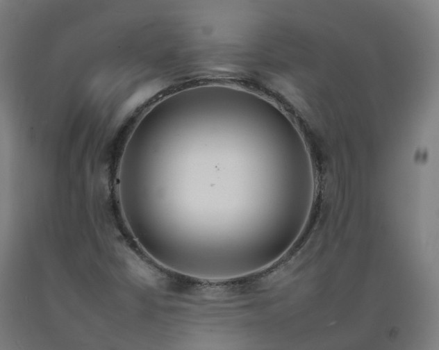 X0000092261402200709281155