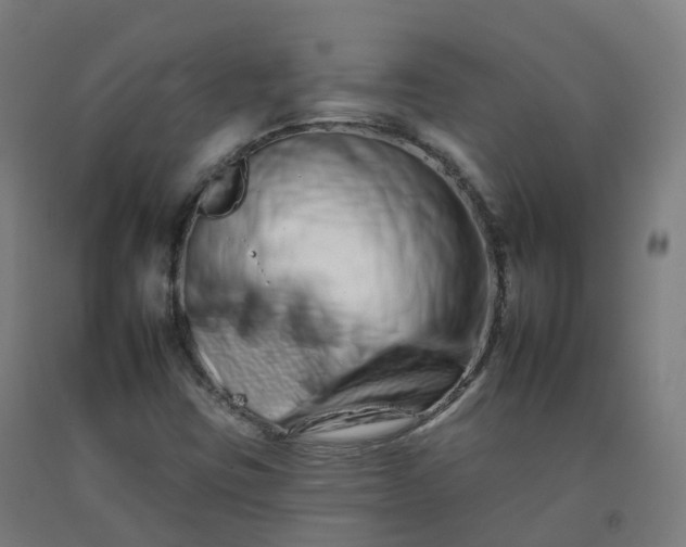 X0000092261403200709281155