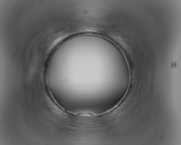 X0000092261404200709281155