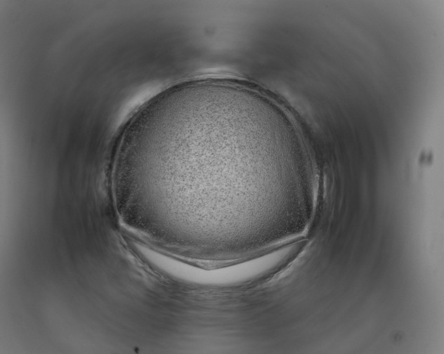 X0000092261405200709281155