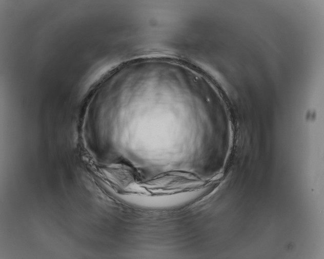 X0000092261407200709281155