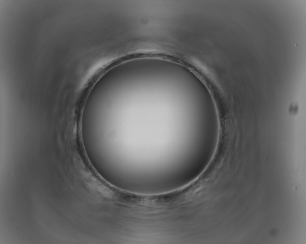 X0000092261408200709281155