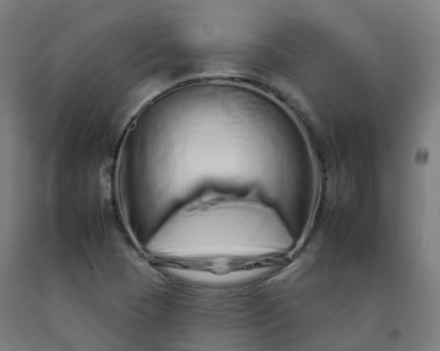 X0000092261409200709281155