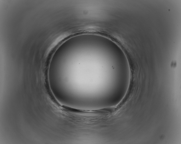 X0000092261410200709281155