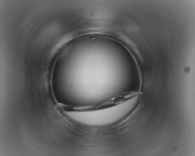 X0000092261411200709281155