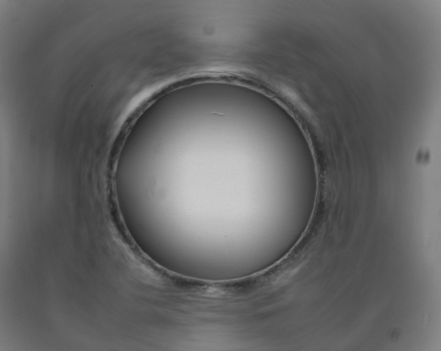 X0000092261412200709281155