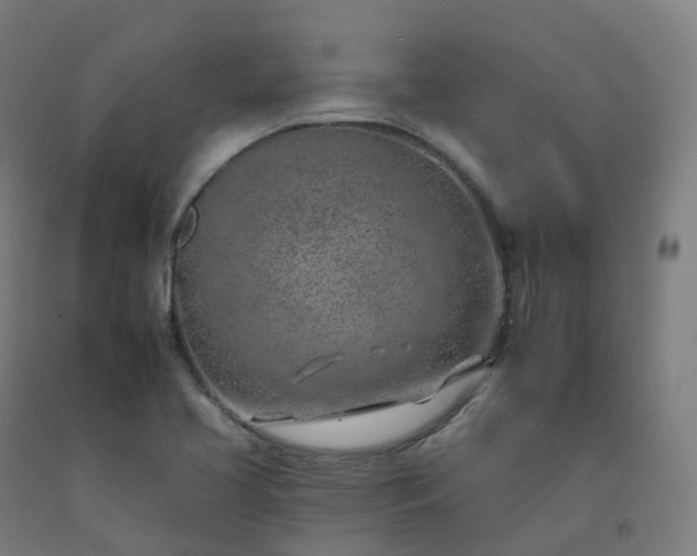 X0000092261413200709281155