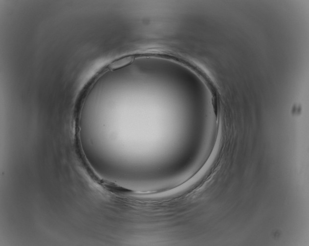 X0000092261414200709281155