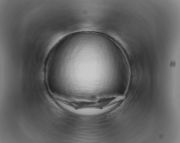 X0000092261415200709281155