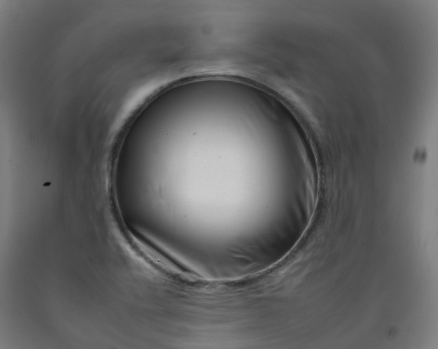 X0000092261416200709281155