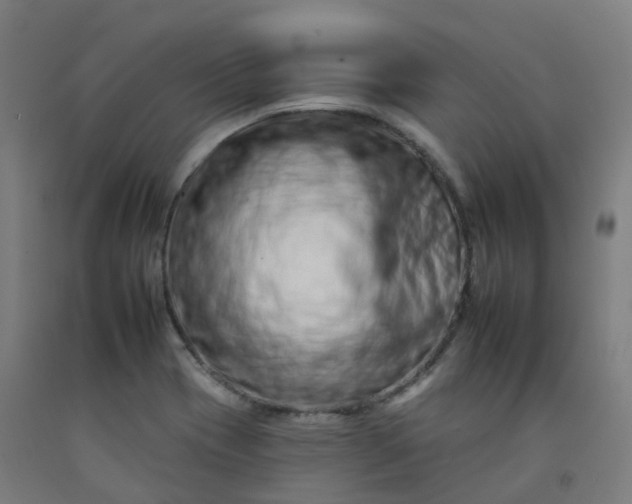 X0000092261417200709281155