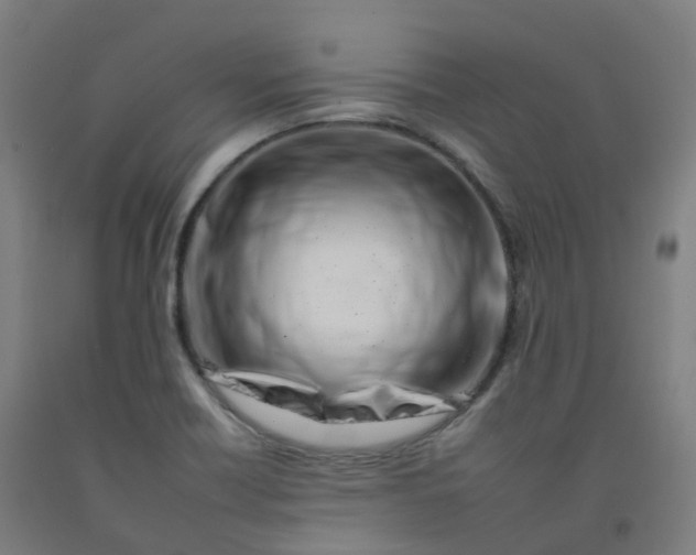 X0000092261418200709281155