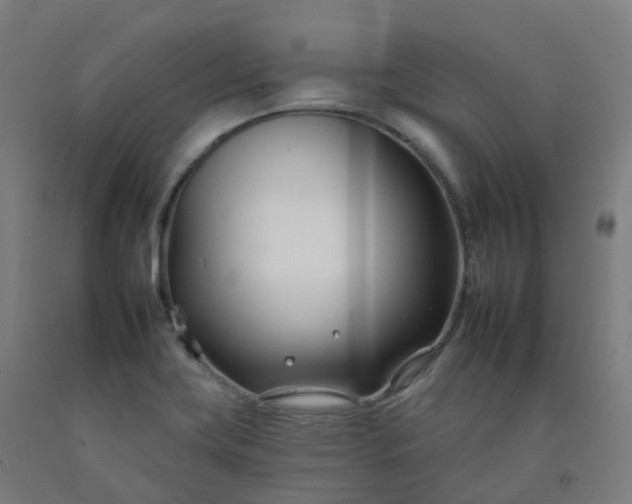 X0000092261419200709281155