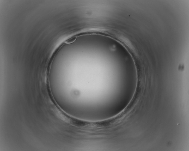 X0000092261420200709281155