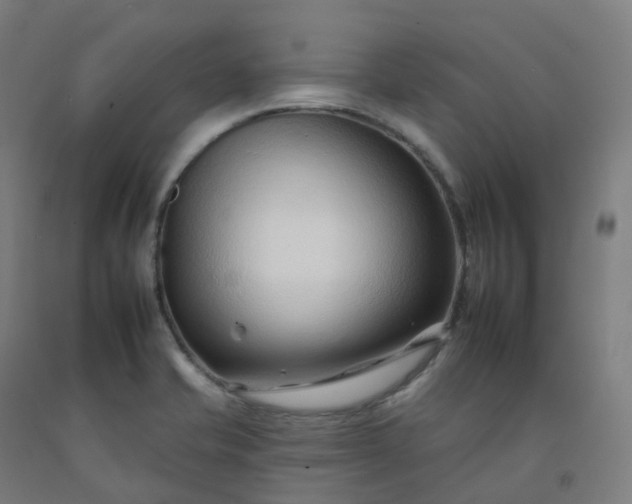 X0000092261421200709281155