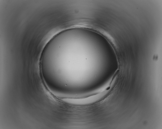 X0000092261423200709281155